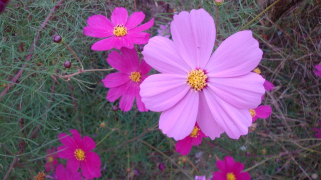 2010_1019_170937-DSC02254