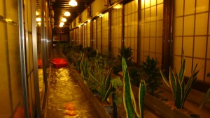 2010_1028_174912-DSC02286