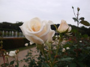 2010_1029_143645-DSC02308