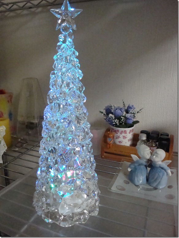 2010_1224_191702-DSC02514