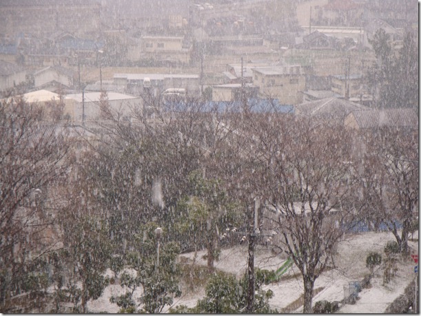 2010_1227_112113-DSC02519