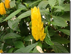 DSC02430
