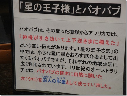 DSC02464