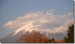 DSC02495
