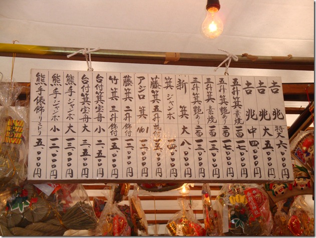 2011_0110_123639-DSC02583