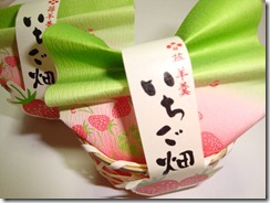 2011_0110_133921-DSC02587