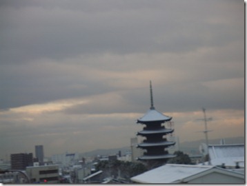 2011_0117_074827-DSC02601