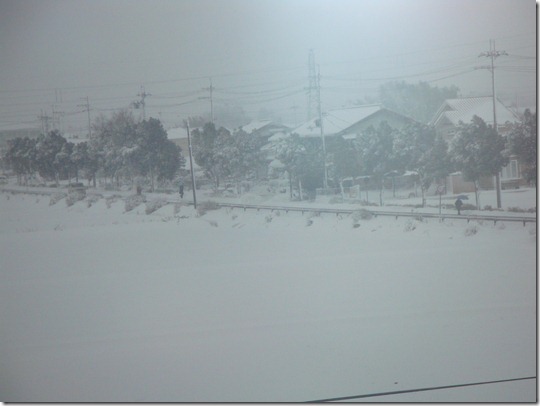 2011_0117_082016-DSC02606