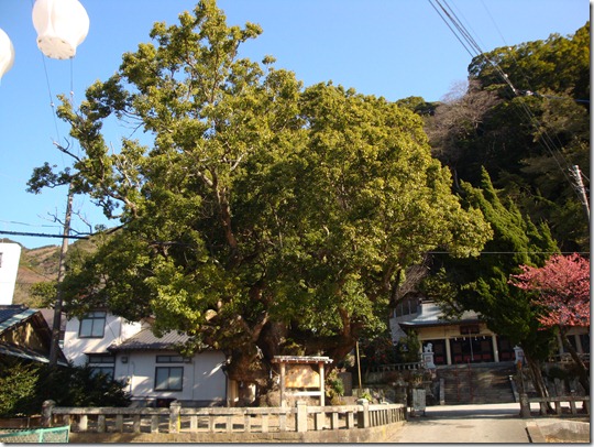 2011_0118_105129-DSC02620