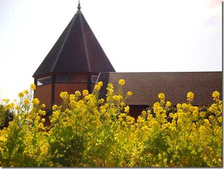 2011_0118_115432-DSC02633