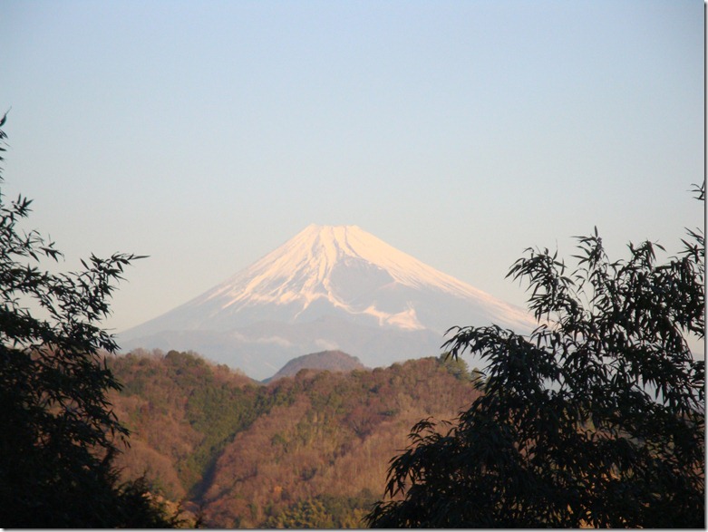 2011_0119_081014-DSC02653