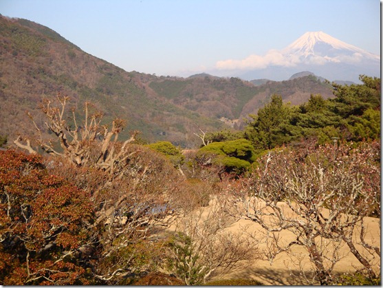 2011_0119_094028-DSC02659