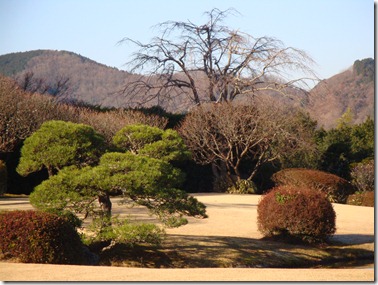 2011_0119_094203-DSC02661