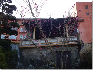 2011_0119_094503-DSC02663