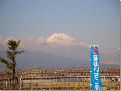 2011_0119_122013-DSC02668