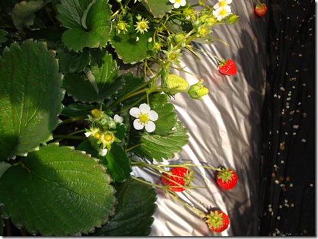 2011_0119_123043-DSC02669