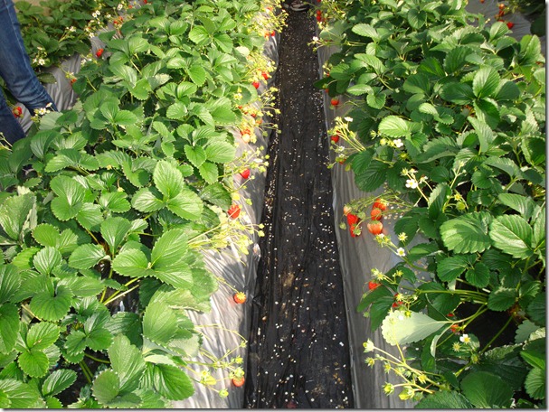 2011_0119_123050-DSC02670