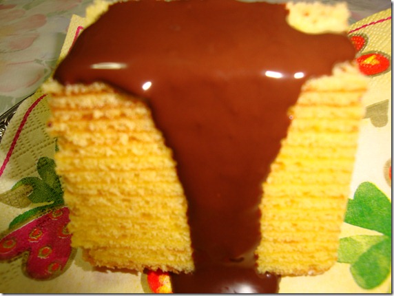 2011_0125_192652-DSC02677