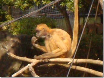 2011_0208_143110-DSC02817