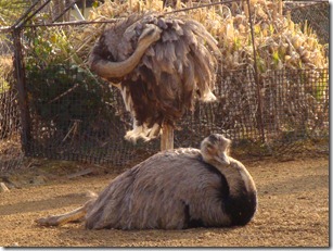 2011_0208_144641-DSC02820