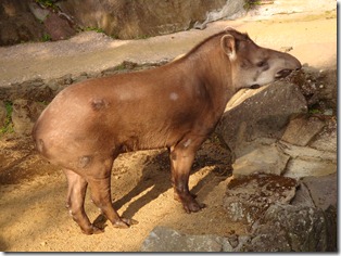 2011_0208_144847-DSC02740