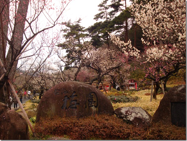 2011_0209_121813-DSC02749