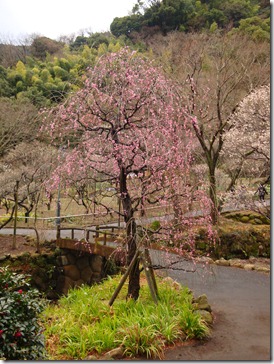 2011_0209_122305-DSC02753