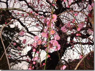 2011_0209_122334-DSC02796