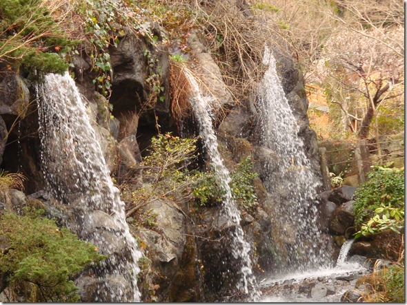 2011_0209_123047-DSC02825