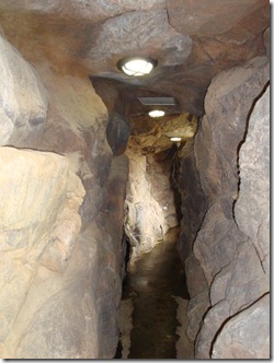 2011_0209_123121-DSC02759