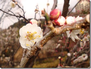 2011_0209_123444-DSC02798