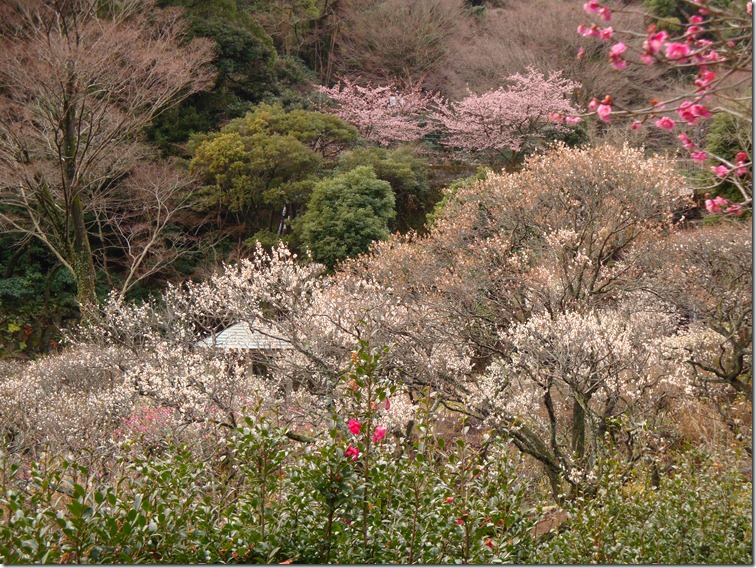 2011_0209_124818-DSC02770