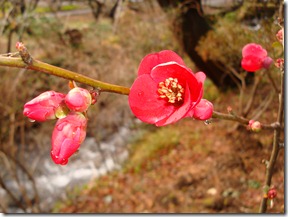 2011_0209_125306-DSC02805