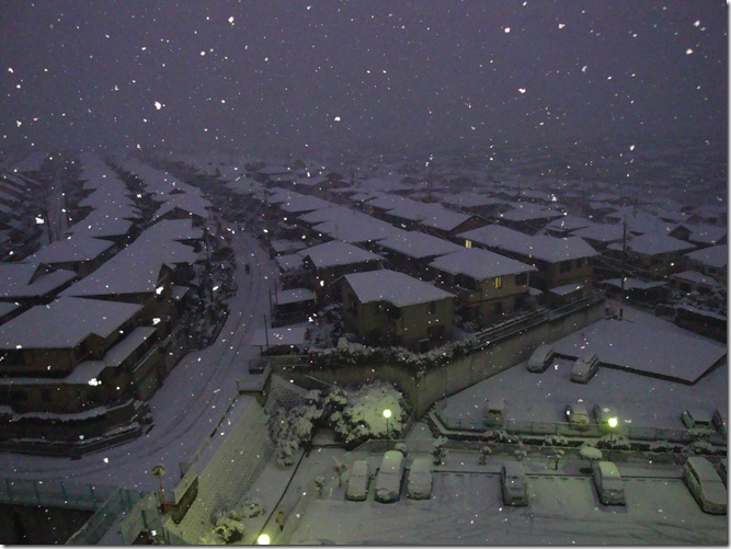 2011_0214_175908-DSC02832