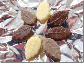 2011_0222_133328-DSC02843