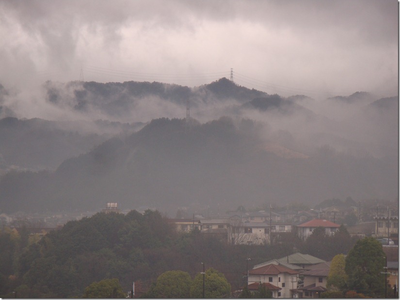 2011_0228_082502-DSC02862