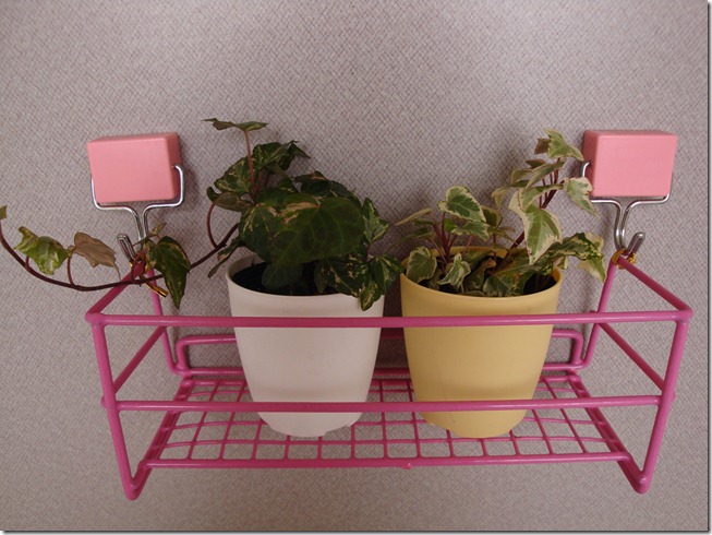 2011_0228_082723-DSC02865