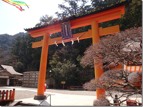 2011_0329_115244-DSC02951