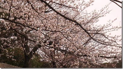 2011_0403_143055-DSC02977