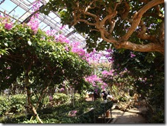 2011_0405_134740-DSC03014