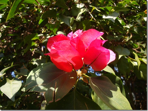 2011_0405_134945-DSC03016