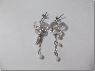 2010_0202_072555-DSCF0146