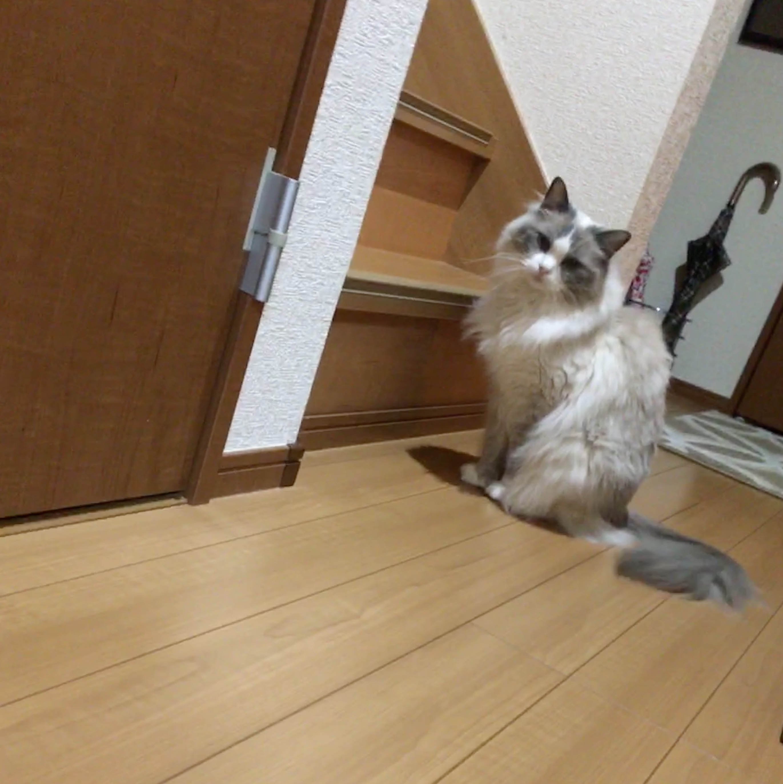 1849CAD2-F12E-4612-8999-6BE6B479B0FE