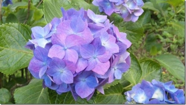 696F15B1-B063-49C2-BDD8-3BA8B08E6F9C